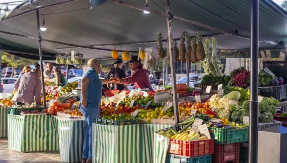 Feiras livres em Curitiba: confira locais e horários deste domingo