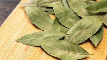 A folha de louro é uma aliada em simpatias que equilibram a mente e renovam as energias (Imagem: Wako Megum | Shutterstock)