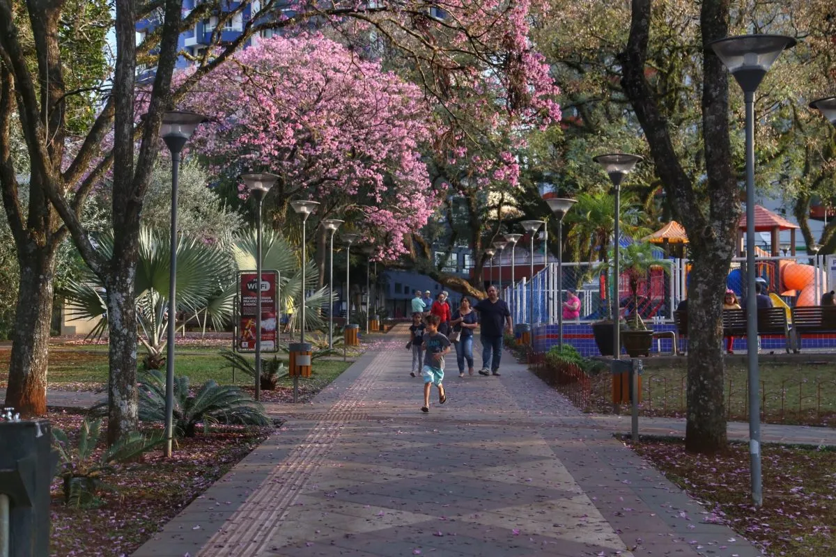 previsão do tempo paraná