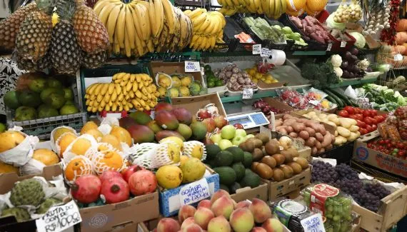 Como 230 mil pequenos agricultores do PR viraram gigantes globais do agronegócio