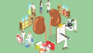 O carcinoma renal de células claras é a forma mais comum de câncer nos rins (Imagem: TarikVision | Shutterstock)