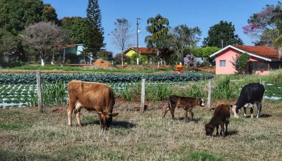 Paraná lança CEP Rural para criar endereço digital a mais de 300 mil propriedades
