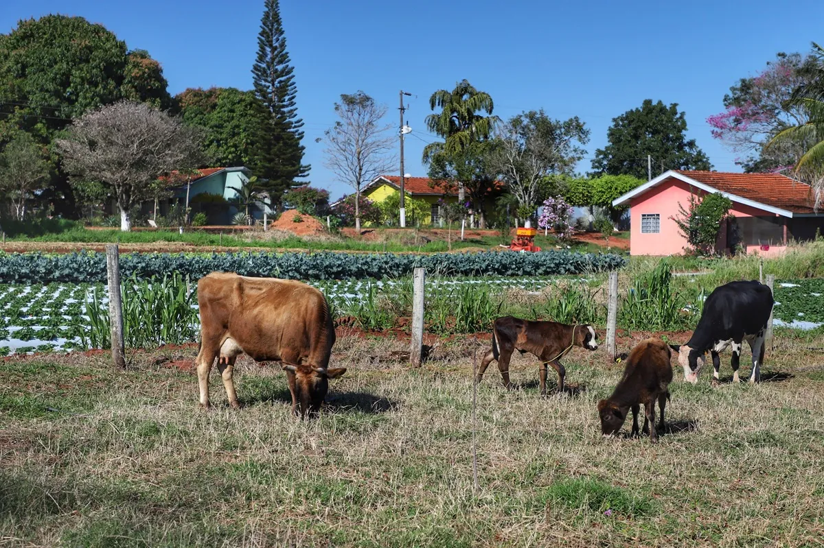 CEP Rural e Rota Rural usam tecnologia do Google para mapear o campo paranaense