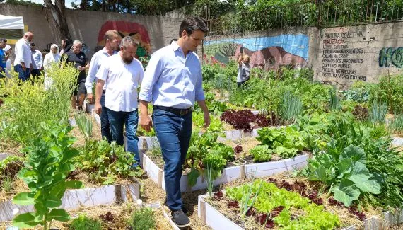 Nova horta comunitária na CIC beneficia famílias e transforma área ociosa