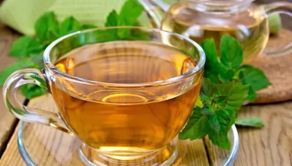 8 soluções naturais para melhorar a digestão e reduzir desconfortos