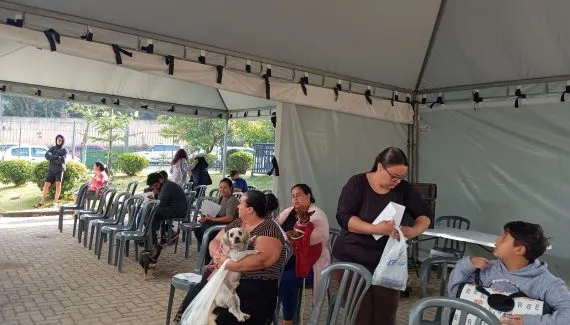 Projeto castra 400 cães e gatos gratuitamente no bairro Caximba em Curitiba