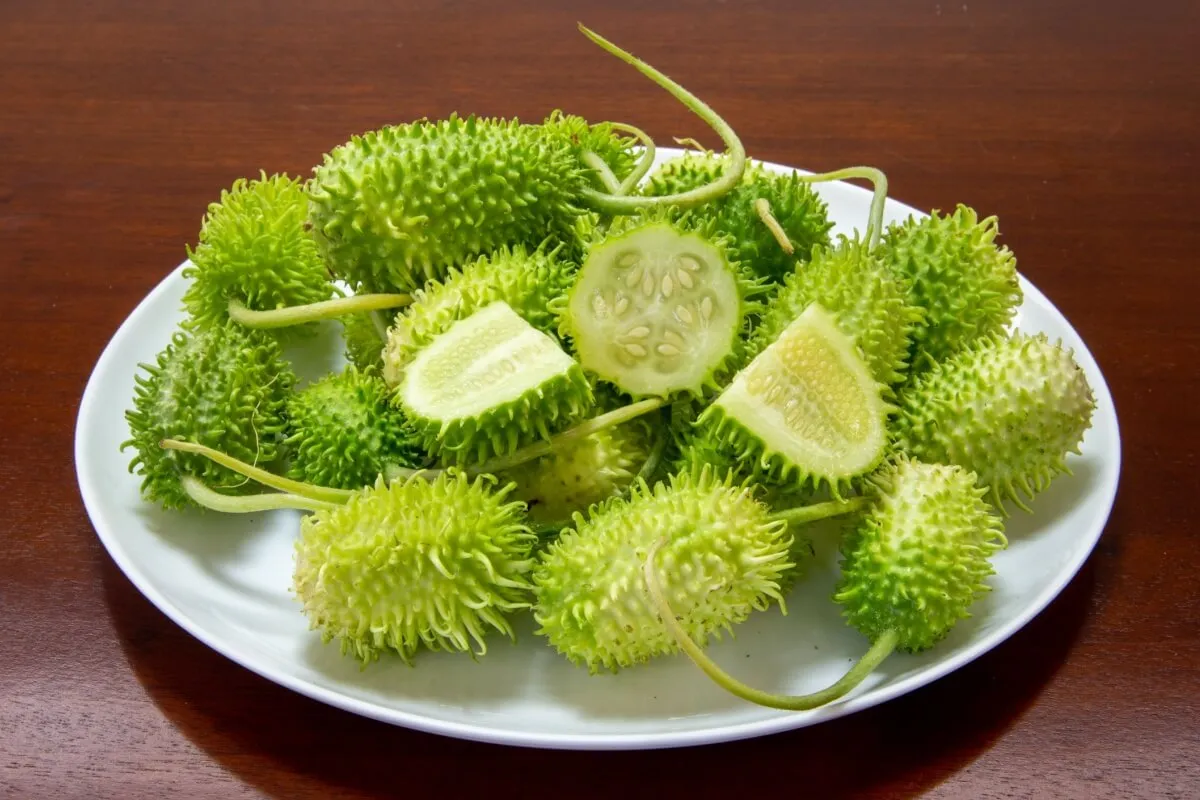 Maxixe ajuda a emagrecer? Veja 6 benefícios do vegetal e como incluir ...