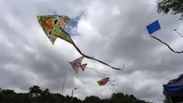 soltar pipas podem ganhar nova lei em curitiba