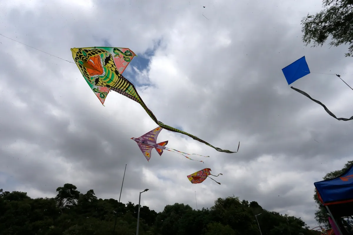 soltar pipas podem ganhar nova lei em curitiba