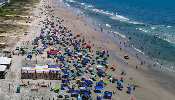 Alerta no Litoral: Mais de 2.500 casos de queimaduras por águas-vivas