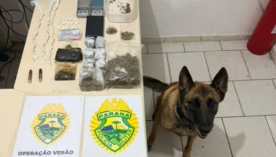 Supermercado da droga é descoberto por cão farejador no Litoral do Paraná