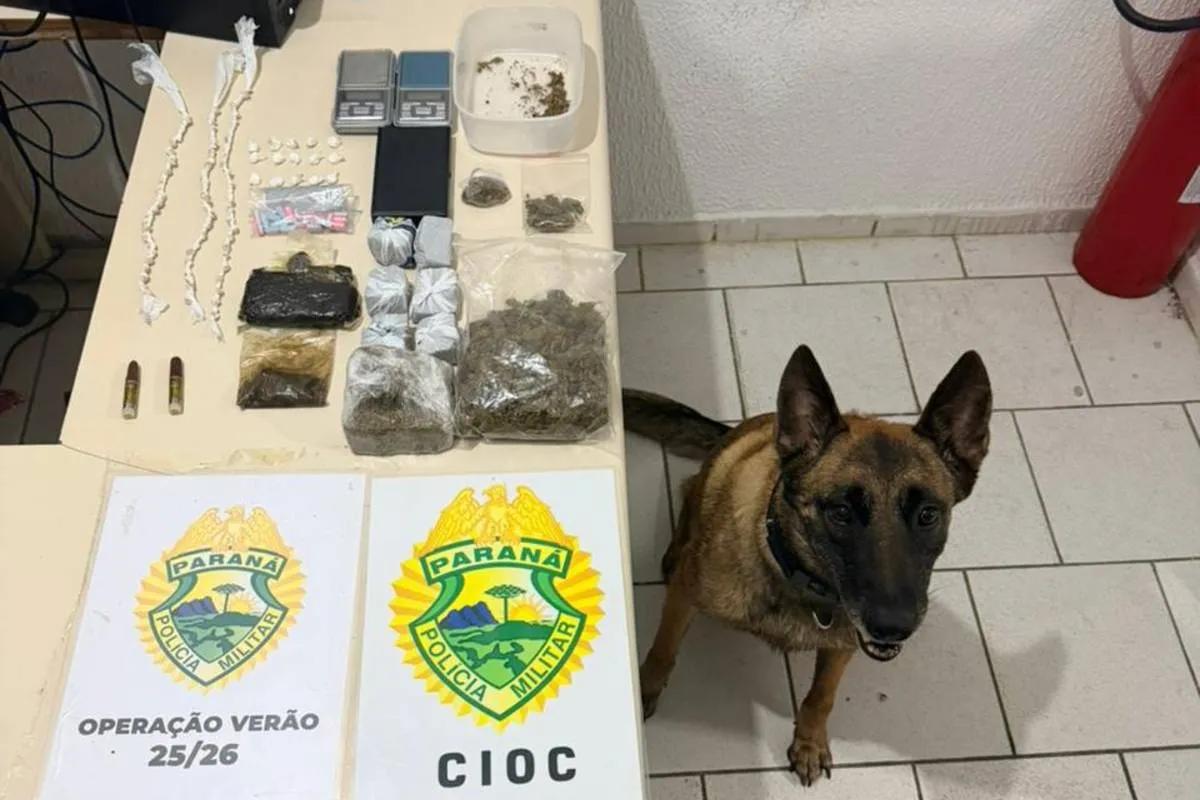Imagem mostra um cão farejador ao ladro de drogas apreendidas.