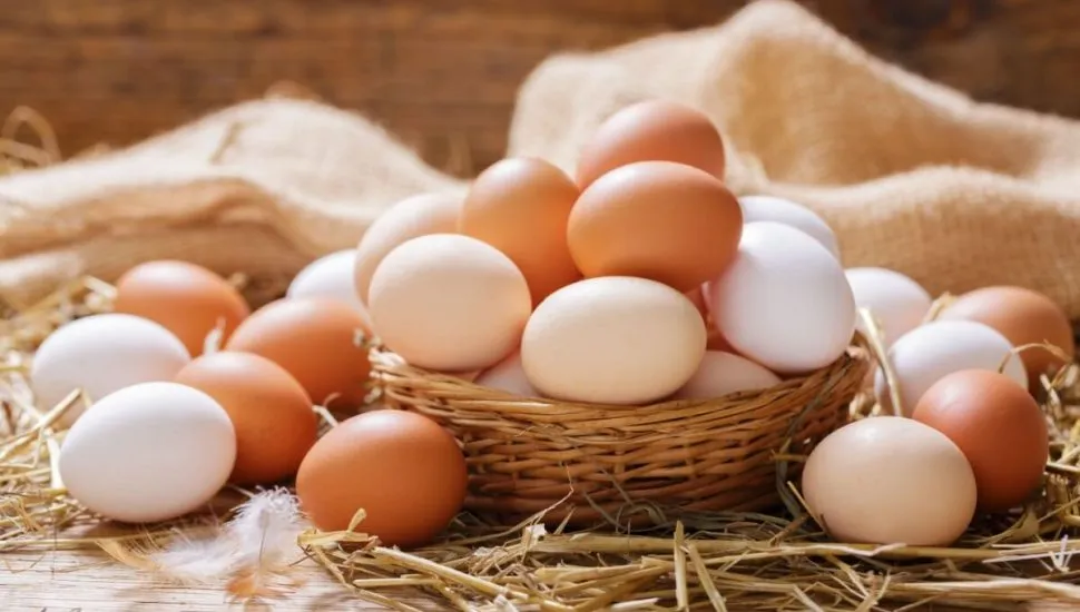 Os benefícios nutricionais do ovo tornam o alimento um aliado na recuperação durante o Carnaval (Imagem: Nitr | Shutterstock)