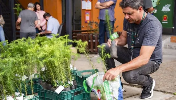 Curitiba distribuirá 10 mil mudas de árvores nas Ruas da Cidadania