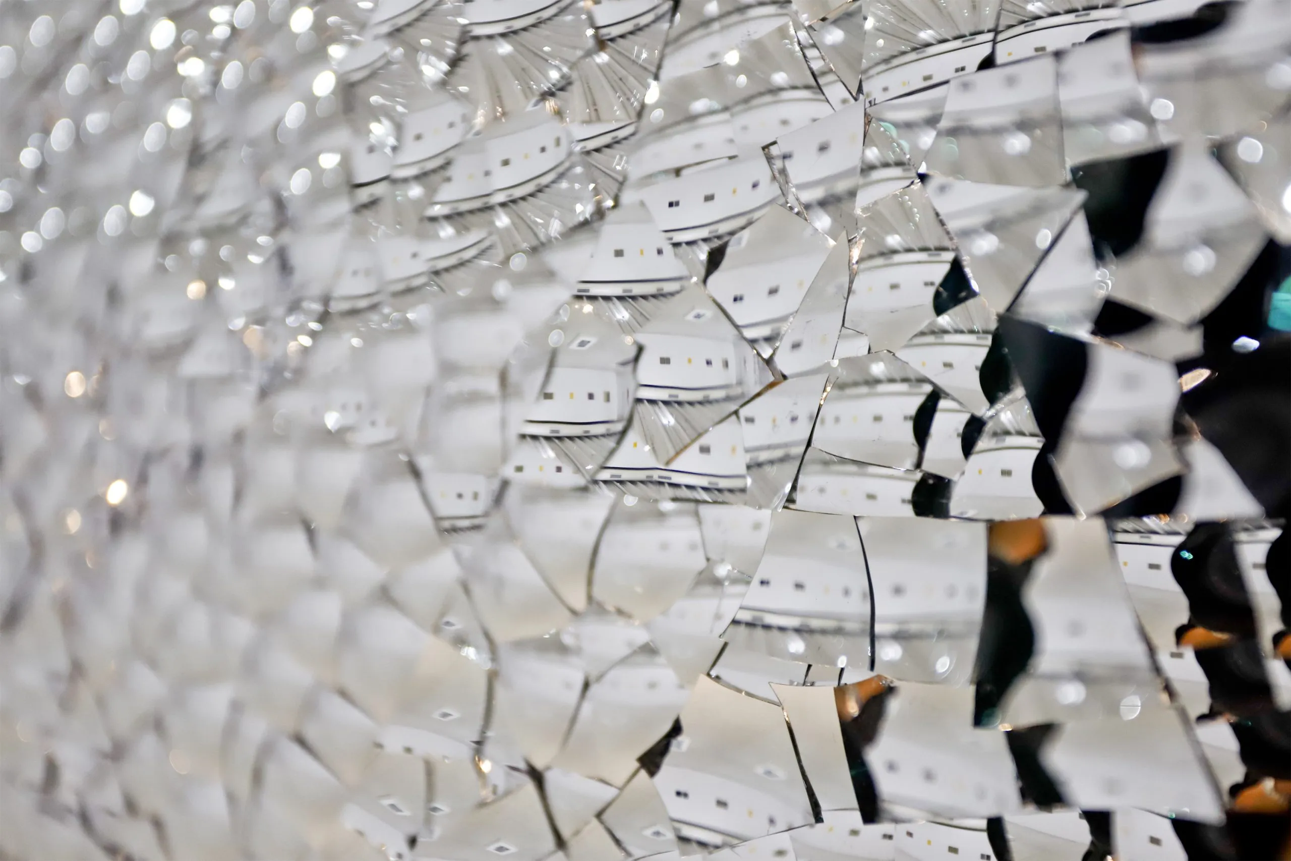 Exposição Veemente