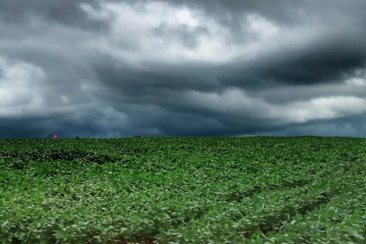 TEMPESTADES ATINGEM CAMPOS GERAIS E NORTE DO PARANÁ, E SEGUEM EM DIREÇÃO AO LESTE
