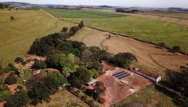 Ação que exigia recuperação integral de áreas desmatadas após 1990 no Paraná é barrada