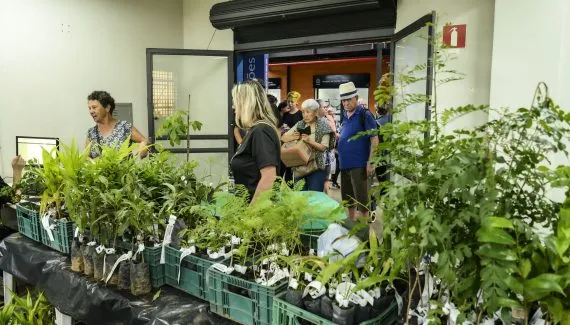 Curitiba distribui 10 mil mudas de árvores nas Ruas da Cidadania