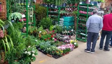 Imagem mostra o atual mercado das flores da Ceasa.