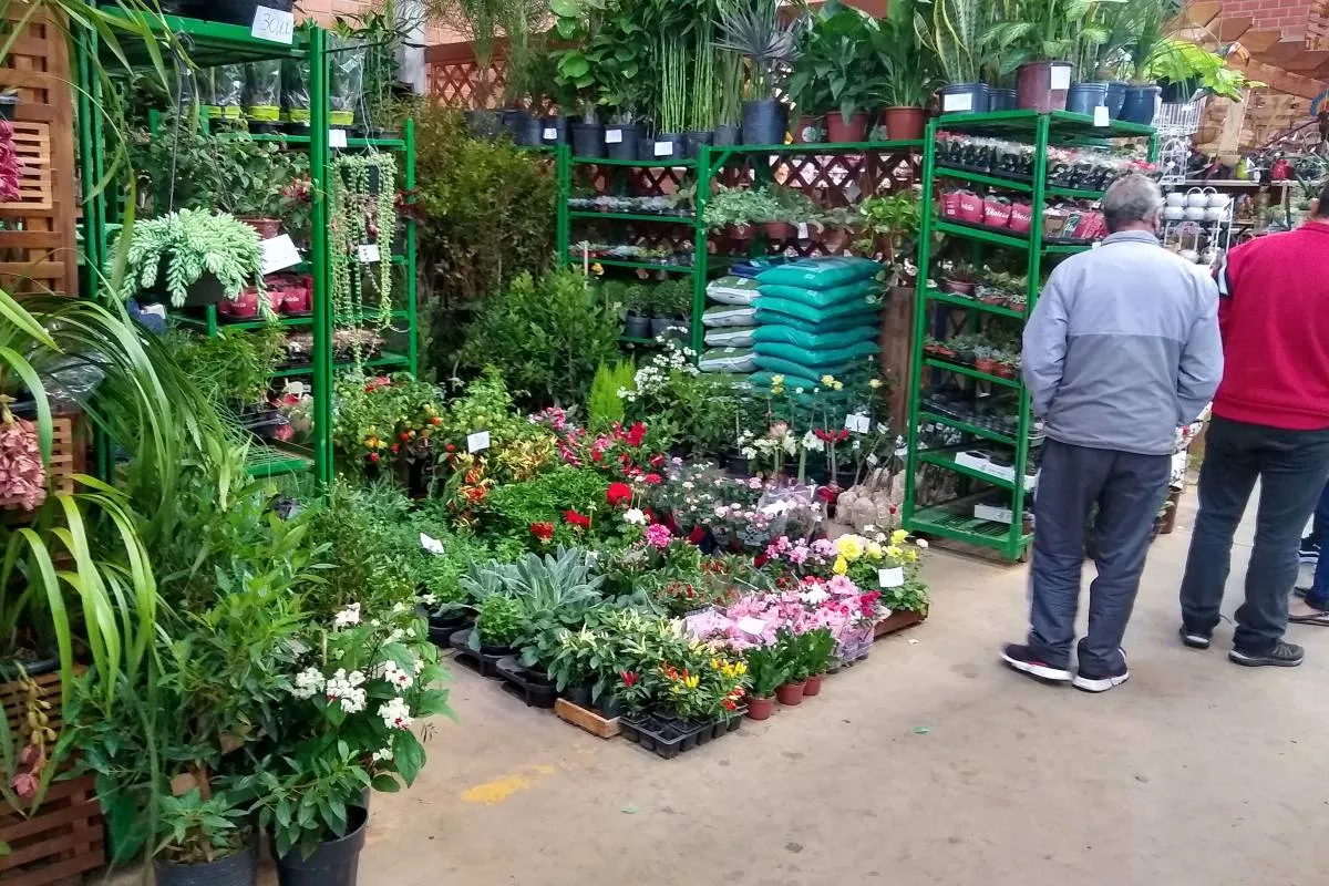 Imagem mostra o atual mercado das flores da Ceasa.