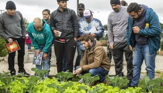 Fazendas Urbanas de Curitiba oferecem cursos e visitas gratuitas em março