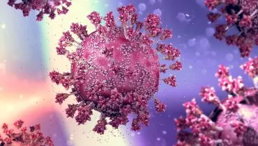 Novas emergências sanitárias são uma possibilidade real (Imagem: Naeblys | Shutterstock)