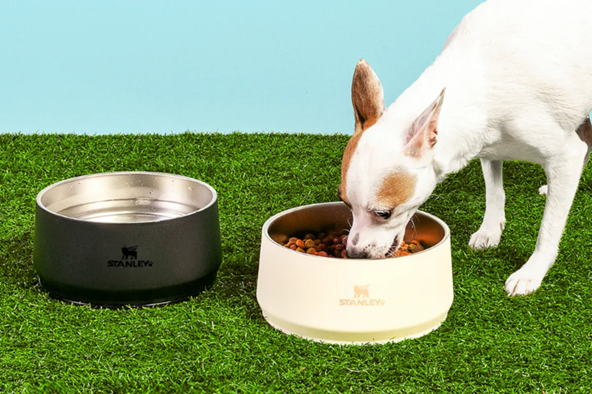 Stanley entra no mercado pet com tigelas para cães e gatos a partir de R$ 319