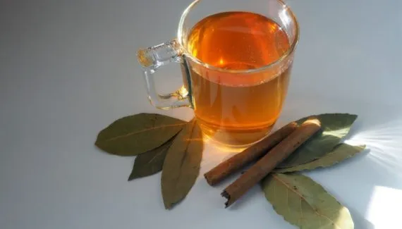 Para que serve o chá de louro? 3 receitas para incluir no dia a dia