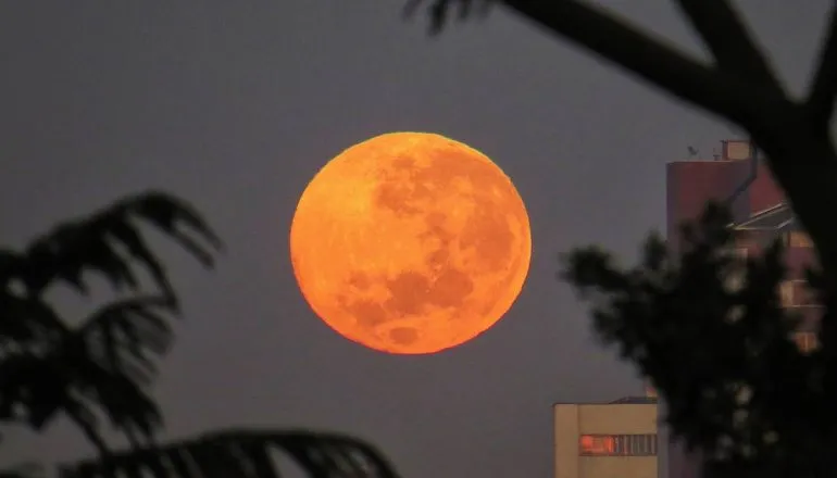Imagem mostra a Lua de Sangue surgindo entre árvores em Curitiba.