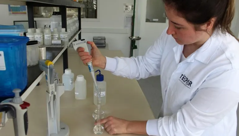 Tecnologia paranaense chega à Europa e Ásia: conheça as startups