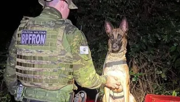 Imagem mostra um cão policial em cima de uma carga de droga e ao lado de um policial.