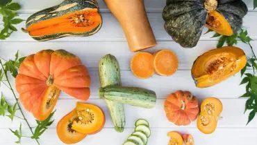 Imagem mostra vários tipos de abóbora.