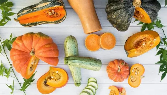 R$ 106 milhões em abóboras! Produção do Paraná ferve economia em 330 cidades