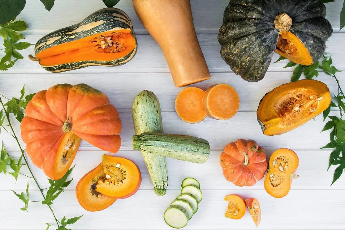 Imagem mostra vários tipos de abóbora.