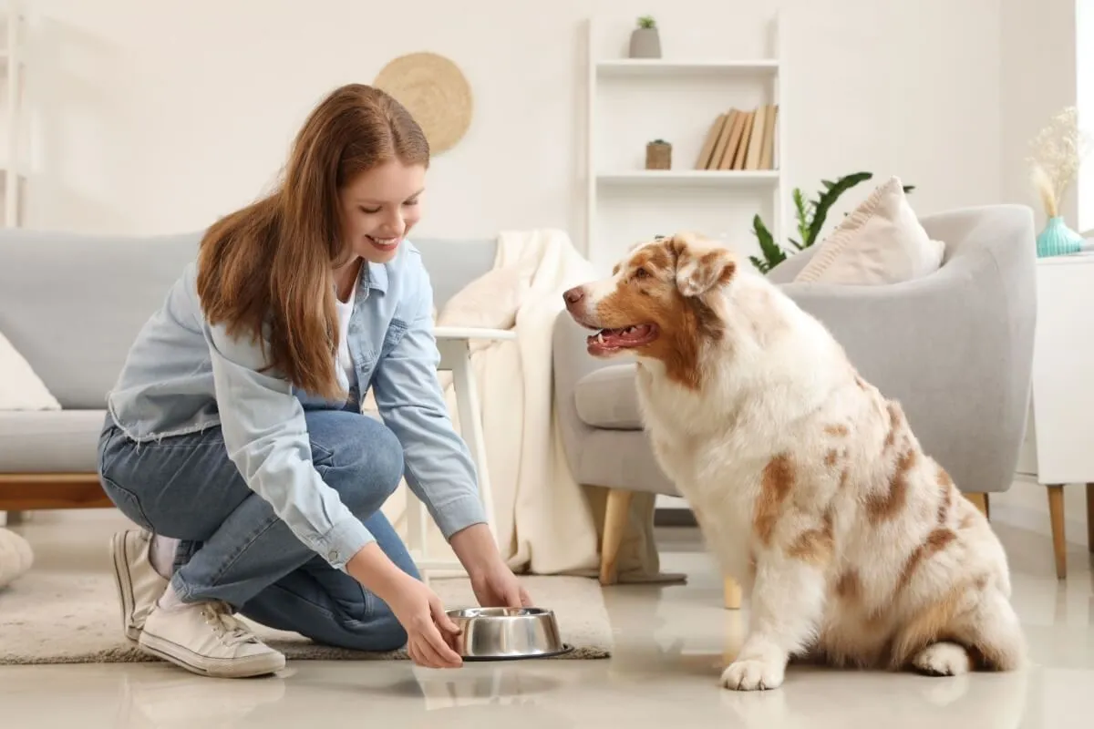 Cada fase da vida do pet exige cuidados específicos com a nutrição (Imagem: Pixel-Shot | Shutterstock)