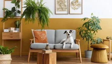 Algumas plantas podem ser perigosas para cães e gatos (Imagem: Followtheflow | Shutterstock)