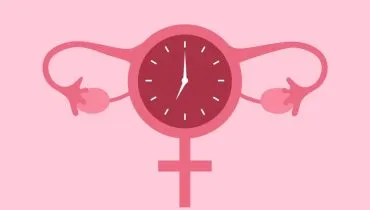 Queda precoce de estrogênio pode afetar fertilidade e qualidade de vida (Imagem: Blueastro | Shutterstock)