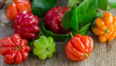 A pitanga é rica em nutrientes essenciais para o funcionamento do organismo (Imagem: artpritsadee | Shutterstock)