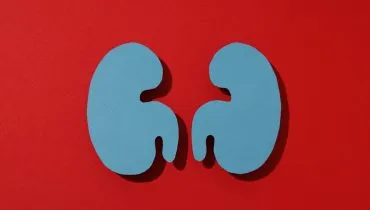 Março Vermelho ganha tom de urgência com projeções da OMS sobre o avanço do câncer renal no Brasil e no mundo (Imagem: AtlasStudio | Shutterstock)