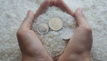 Rituais simples ajudam a atrair prosperidade e renovar energias ligadas ao dinheiro (Imagem: Full charge | Shutterstock)