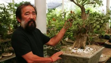 Imagem mostra um homem japonês ao lado de um bonsai. Ele é Claudio Seto. Ele tem barba comprida e está usando uma camiseta preta.