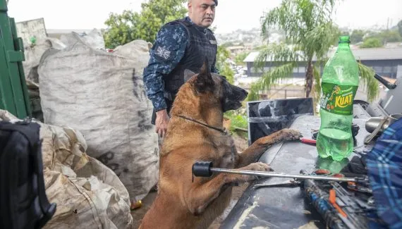 Curitiba intensifica fiscalização contra venda de cabos furtados em terceira Fase