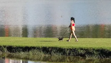 Calor volta ao Paraná: máximas acima de 30°C no último domingo de verão