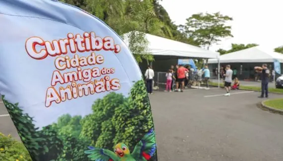 Lei passa a obrigar que todos os cães, de qualquer porte, usem guia em Curitiba