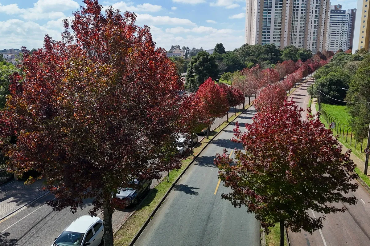 outono 2026 começa no dia 20 de março