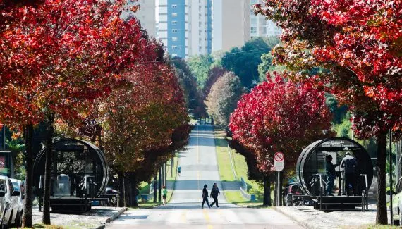 Quando começa o outono? Veja data e horário do fim do verão