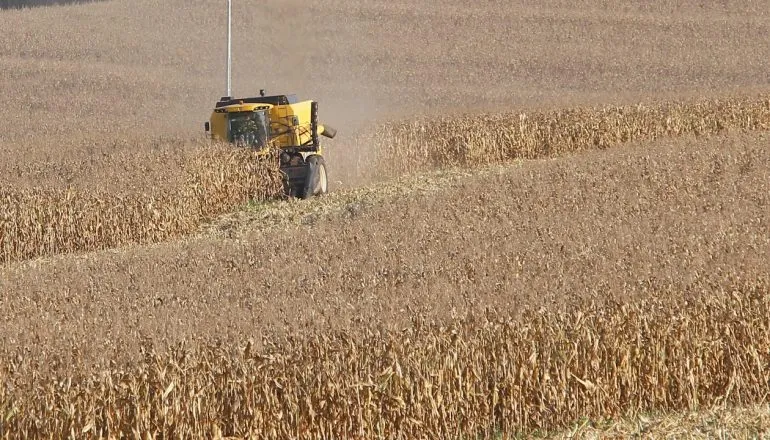 Estiagem atinge 11 cidades e provoca prejuízo de R$ 438 milhões no Paraná