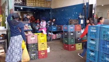 STF reconhece que Ceasa/PR não precisa pagar impostos federais