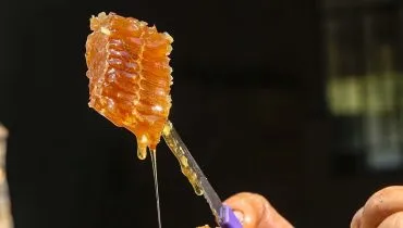 Conheça o mel raro do interior do Paraná que nasce de floradas especiais e tem sabor suave