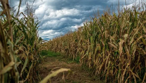 Frio intenso volta ao Paraná com temperatura de 9°C e alertas de tempestade